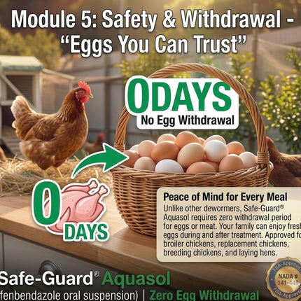 Aquasol Dewormer for Chickens, 3 mL Simple 5-Day Treatment Schedule Protection for Your Entire Flock