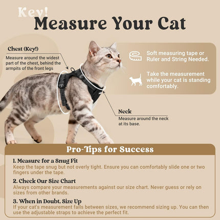 rabbitgoo Cat Harness and Leash, Escape Proof Vest with 3 Adjustable Buckles, Soft Comfortable Kitten Harness, Easy to Wear, Reflective for Safe Outdoor Walking, Medium, Black