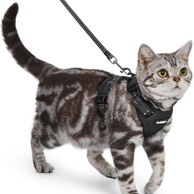 Cat Harness and Leash, Escape Proof Vest with 3 Adjustable Buckles, Soft Comfortable Kitten Harness, Easy to Wear