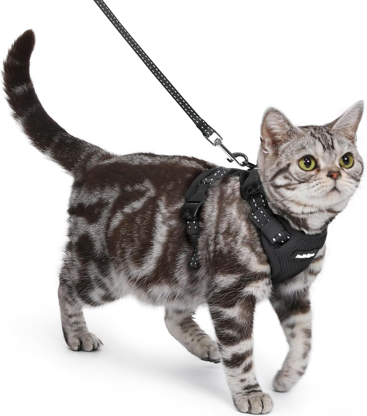 Cat Harness and Leash, Escape Proof Vest with 3 Adjustable Buckles, Soft Comfortable Kitten Harness, Easy to Wear