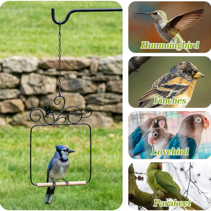 2 Pack Hummingbird Swings, Black Metal Frame Hummingbird Swings with Wooden Dowel Wild Bird Swing Outdoor Bird Perch with 2Pcs Hanging Chain for Hanging Indoor Outdoor Trunk Lawn Patio Garde