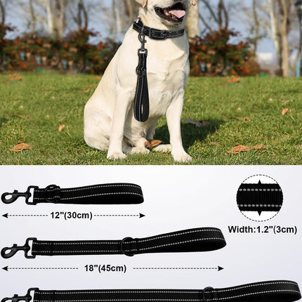 Short Dog Leash for Close Control & Training, 18", Black