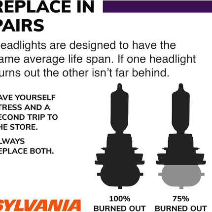 H11 - High Performance Halogen Headlight Bulb, High Beam, Low Beam and Fog Replacement Bulb (Contains 2 Bulbs)