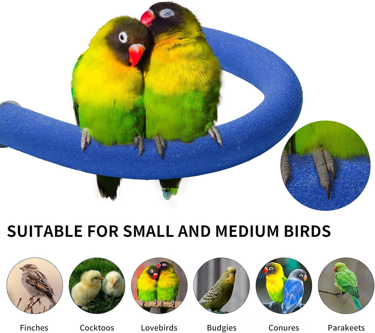 Blue U Shape Bird Perch Stand Toy Platform - photo 4