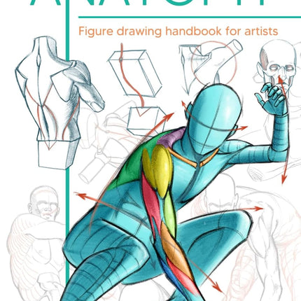 Pocket Anatomy: Figure Drawing Handbook in Color for Artists, Learning How to Draw Human Body by Simplifying the Complex Structures of the Body and Understanding the Human Form