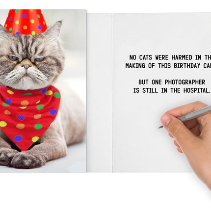 Funny Birthday Card for Women, Men & Friends! Grumpy Cat Photo Joke