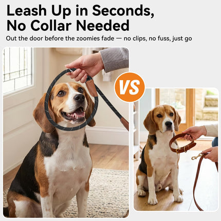 Slip Lead Dog Leash with Dual Handle, No Pull, Black, 6FT x 3/8"