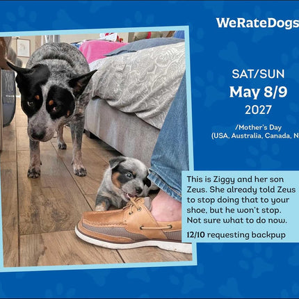 WeRateDogs 2027 Day-to-Day Calendar