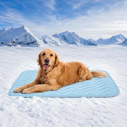 Dog Crate Pad, Washable Cozy Dog Bed Mat for Medium Dogs 36"x23", Gray