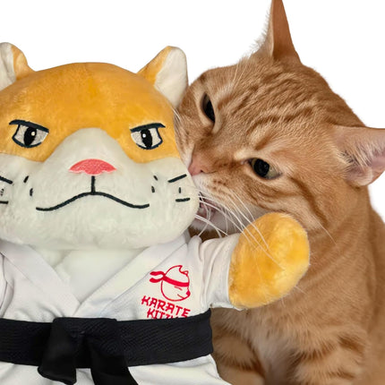 KARATE KITTY Cat Puppet Toy with Arm Sleeve – Boxing & Arm Wrestling Glove for Cats with Realistic Movements, Catnip Pocket & Crinkle Ears