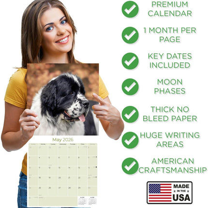 Newfoundland Calendar 2026 – 16-Month Dog Breed Wall Calendar by MegaCalendars – Large Daily Blocks, Thick No-Bleed Paper, Made in USA