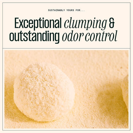Sustainably Yours Natural Cat Litter, Large-Grain Formula, Low Tracking, Exceptional Clumping & Odor Control, Virtually No Dust, Corn & Cassava Plant-Based, Unscented, 10 lbs