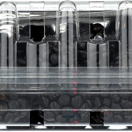 Blackberries, 6 oz
