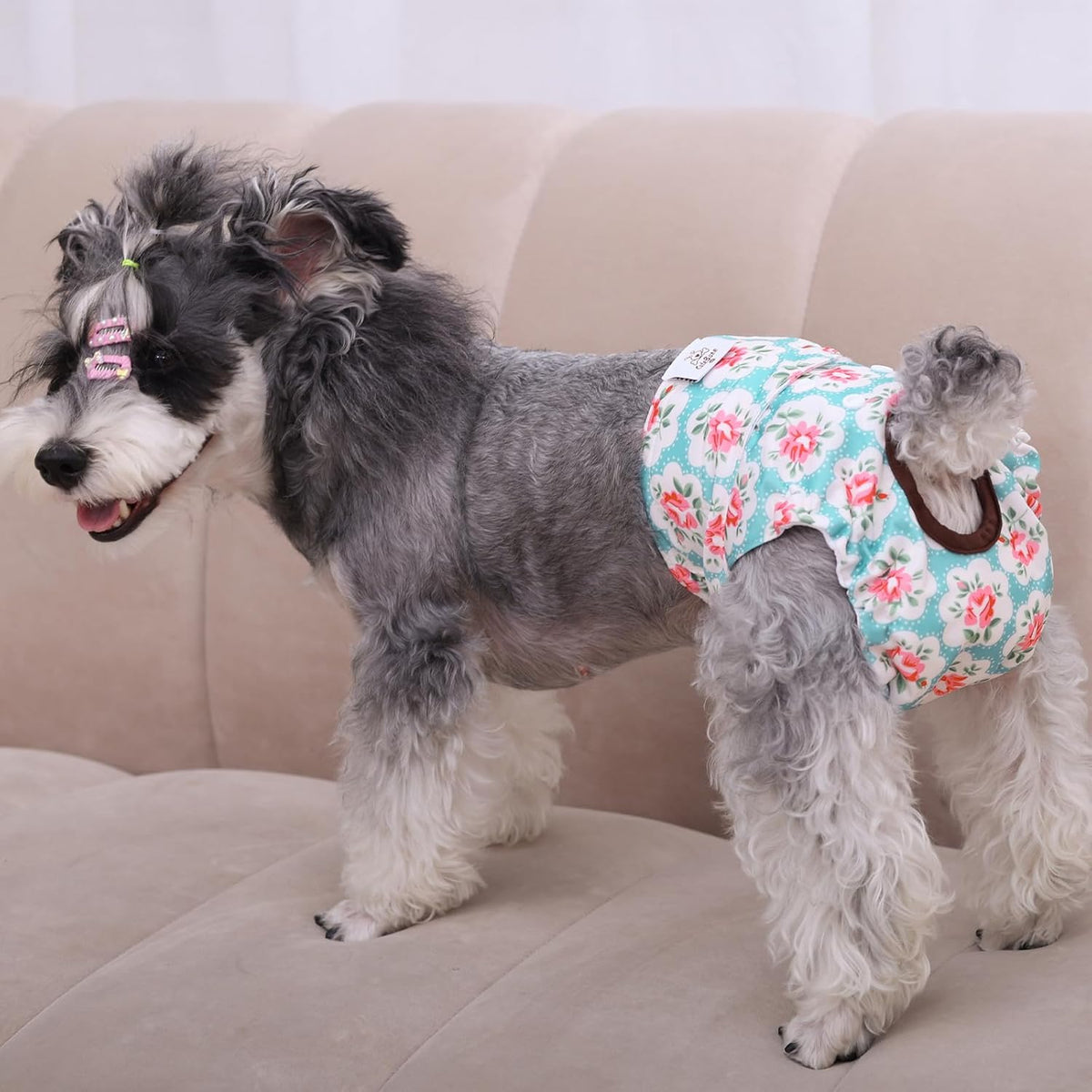 Female Washable Dog Diapers, 3 Pack - photo 5