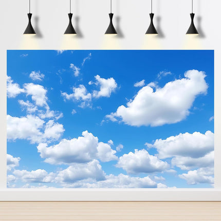 Blue Sky Aquarium Background Tiny Cloudy Cumulus Fish Tank Background White Clouds in Clear Blue Sky Reptile Tank Backgrounds Cloudy Blue Skys Reptile Enclosure Backgrounds Wallpaper Poster 48x18in