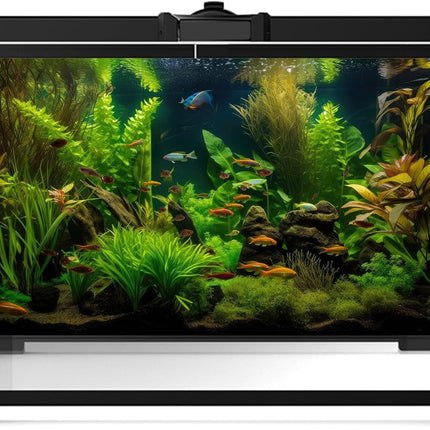 Aquarium Background Tropical Freshwater Colorful Fish Plants Fish Tank Background Tranquil Under The Sea Aquatic Plants Cork Redwood Root Lush Green Moss Reptile Tank Terrarium Background 24x16in