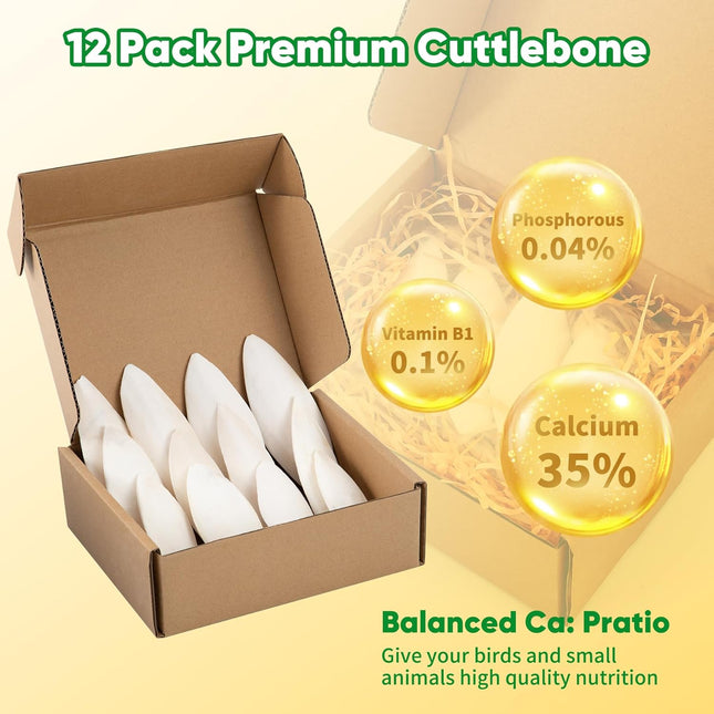 12 Pack Cuttlebone for Birds, 4-6 Inches Sun-Dried 100% Natural Calcium Supplement, 100% Pure Cuttlefish Bone for Beak Trimming, Supports Healthy Bones, Feathers & Shells