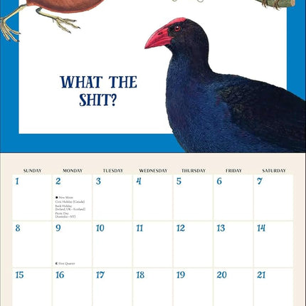 Effin' Birds 2027 Wall Calendar