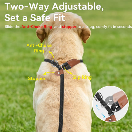 Slip Lead Dog Leash with Dual Handle, No Pull, Black, 6FT x 3/8"