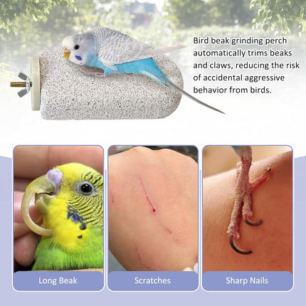 BNOSDM 4 Pcs Large Natural Parrot Beak Grinding Stone Parakeet Chew Toy Calcium Parrot Perch Stand Bird Cage Accessories for Budgies, Cockatiels, Conures, Lovebirds, Canary