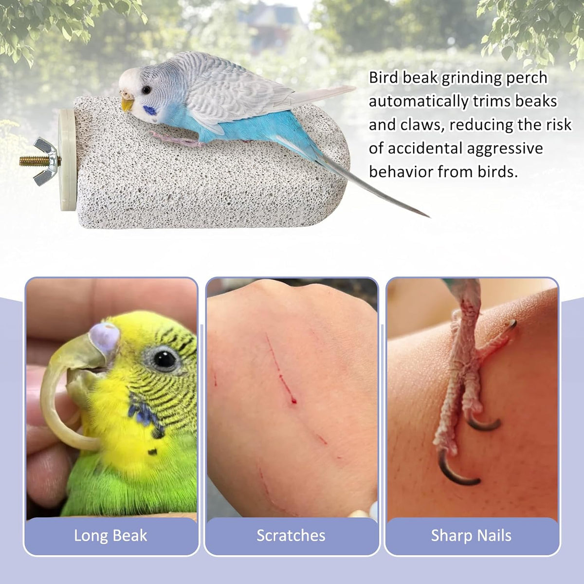 4 Pcs Large Natural Parrot Beak Grinding Stone Parakeet Chew Toy Calcium Parrot Perch Stand Bird Cage - photo 4