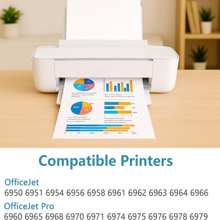 902XL Ink Cartridges Black 2 Pack Compatible for HP 902 XL Fit for OfficeJet 6978 6968 6958 6970 6960 6975 6962 6950 6954 6951 6956 6961 6963 6964 Printers for HP902 HP902XL (2-Pack，Black Ink)