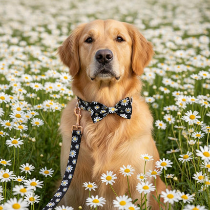 PETDURO Personalized Dog Collar Daisy Print with Name & Phone Number Engraved on Rose Gold Metal Buckle for Large Medium Girl Dogs - Floral Pattern - Add Matching Soft Leash Bow Tie via Customize Now