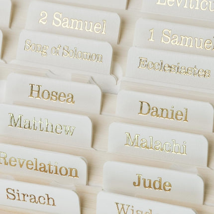 UPAFEXXI-Leather Bible Tabs with Book Summaries, Bible Tabs for Women and Men(Gold Foil Lettering) Large Print Stickers, Easy to Read and Apply, 80 Chapters Labels for Easy Navigation(White)