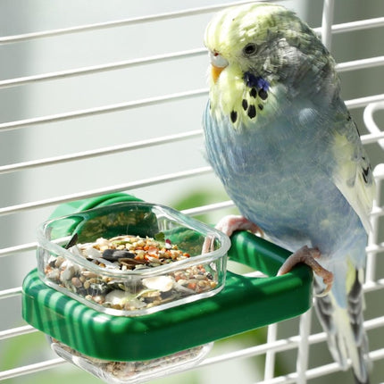 Bird Feeder, 2 PCS Plastics Bird Food Water Bowls Cups Cage Accessories for Conure, Parakeet, Budgie, Cockatiel