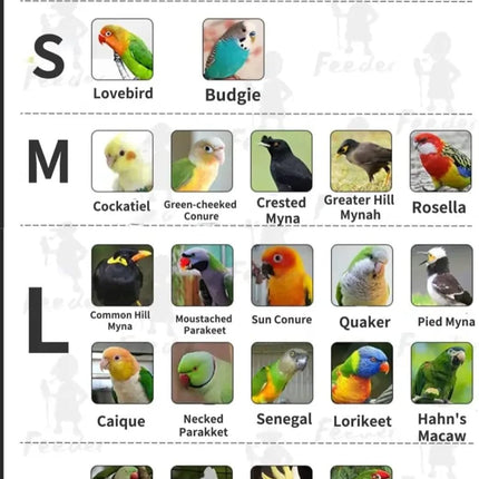 Bird Costume Diaper Flight Suit Frog Shape Hoodie Clothes Cosplay Photo Prop for Parrots Parakeet Cockatiel Sun Conure, Small Animals Apparel (White Without Hat, Medium), Green,White