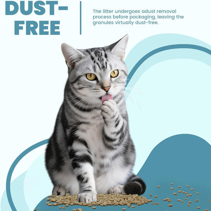 Basic Zeolite Cat Litter Pellets 7lbs & Cat Pee Pads 10 Count - Refill for Tidy Cats Breeze Litter System | Premium Stainless Steel Shifting Tray