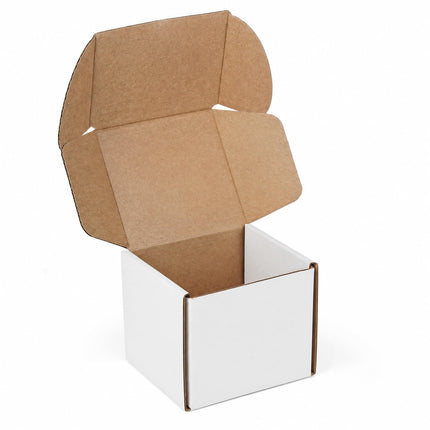 12"x9"x3" Shipping Boxes Set of 5, White Corrugated Cardboard Box Literature Mailer