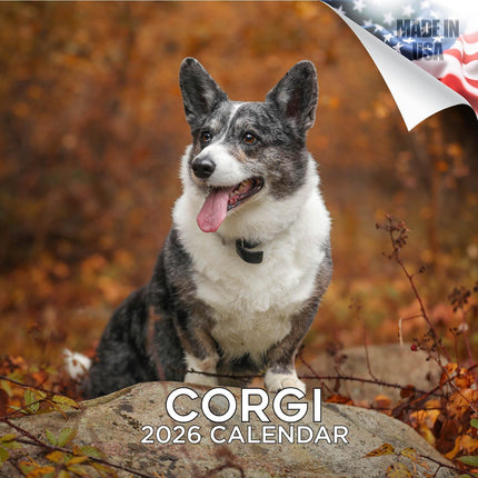 Corgi Calendar 2026 by MegaCalendars – Monthly Dog Breed Wall Calendar, Made in USA