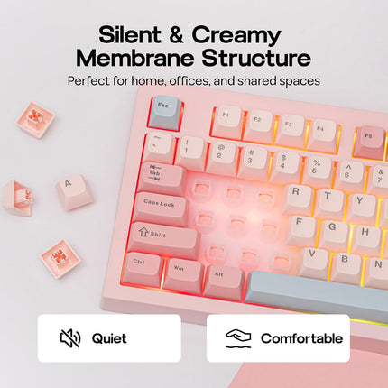 MechLands Aula S102 Membrane Gaming Keyboard with Number Pad, 100% Full Size Layout, USB-C Wired, RGB Backlit, Creamy Silicone Structure, Silent Keyboard for PC Game/Office (Pink)