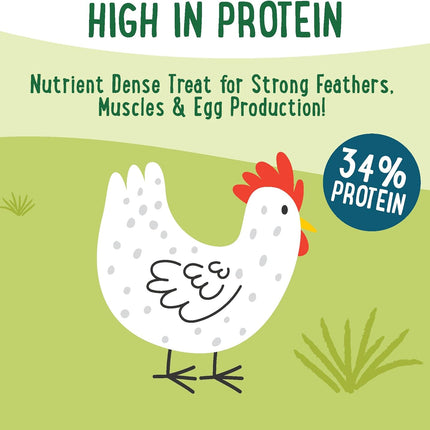 Manna Pro Farmhouse Favorites Feather Flair Poultry Treat, High Protein Chicken Treat with Methionine, Biotin & Thiamine, Supports Strong, Vibrant Feathers, for Chickens, Ducks, Turkeys & More, 2 lbs