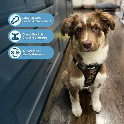 Step-in Air Harness - All Weather Mesh, Reflective, No Pull Harness for Dogs, Cats - Secure with Hook & - photo 3