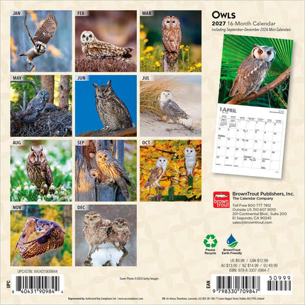 Owls | 2027 7 x 14 Inch (Hanging) Monthly Mini Wall Calendar | BrownTrout | Wildlife Animals Birds