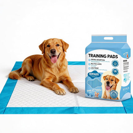 6 Layers Dog and Puppy Pee Pads, Super Absorbent Leak-Proof Puppy Pads, Dog Training Pads 40 Count 23"x 23", Quick Dry Surface, Perfect for Puppies & Senior Dogs
