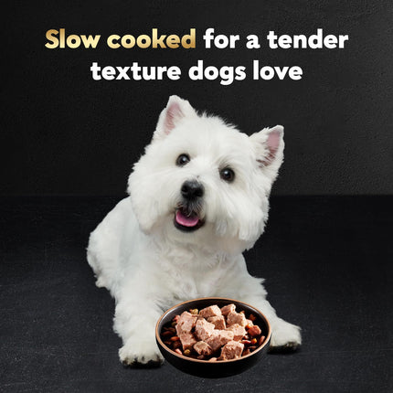 Cesar Filets in Gravy Adult Wet Dog Food Variety Pack, Poultry Lovers with Rotisserie Chicken Flavor and Turkey Recipe, 3.5 oz. Easy Peel Trays, Variety Pack, 12 Count (Pack of 2)
