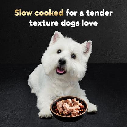 Filets in Gravy Adult Wet Dog Food Variety Pack, Poultry Lovers with Rotisserie Chicken Flavor and - photo 3