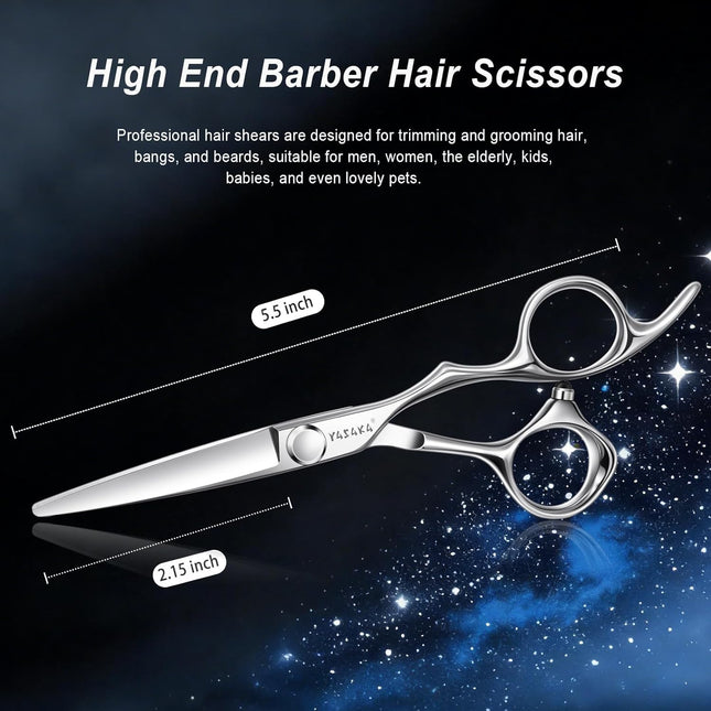 6.75-Inch Professional Hair Cutting Scissors in Silver