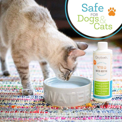 Premium Pet Dental Care Water Additive, 16 oz - photo 4