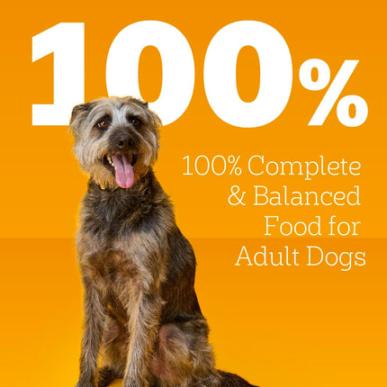 Pedigree Chopped Ground Dinner Adult Soft Wet Dog Food with Beef, Canned Dog Food, 13.2 oz. Cans, 12 Count