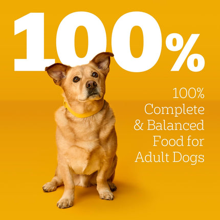 Pedigree Choice Cuts in Gravy Adult Wet Dog Food 30-Count Beef Flavor Variety Pack, 3.5 oz. Pouches