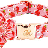 Spring Flower Strawberry Print Adjustable Cotton Dog Collar for Small Dogs