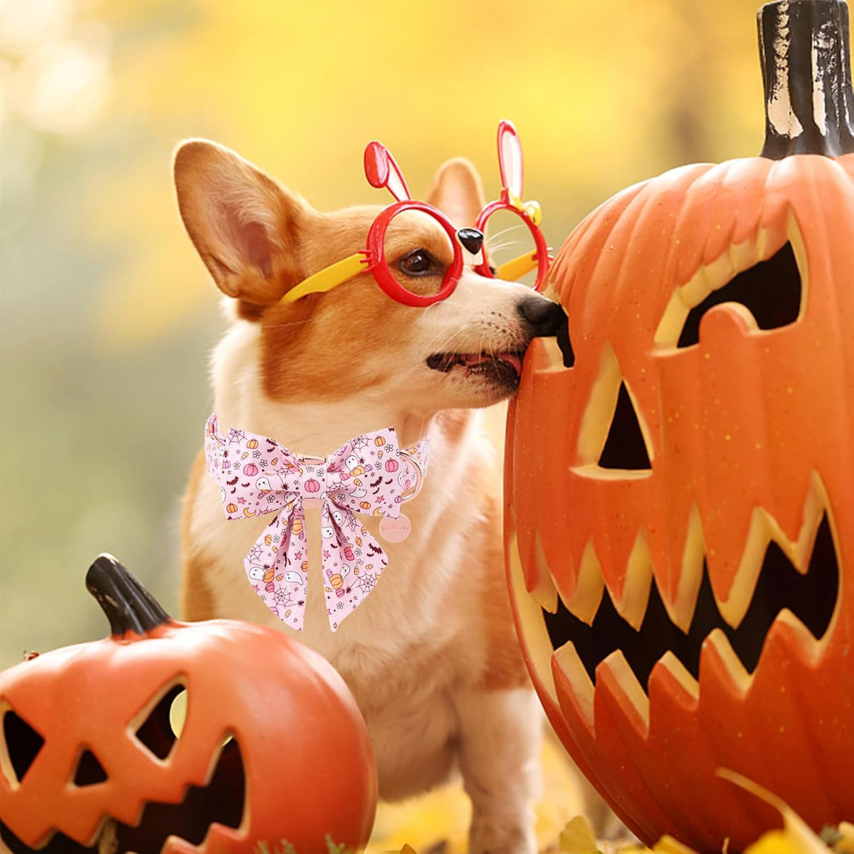 Pink Halloween Dog Collar with Flower, Adjustable Metal Buckle, M - photo 5