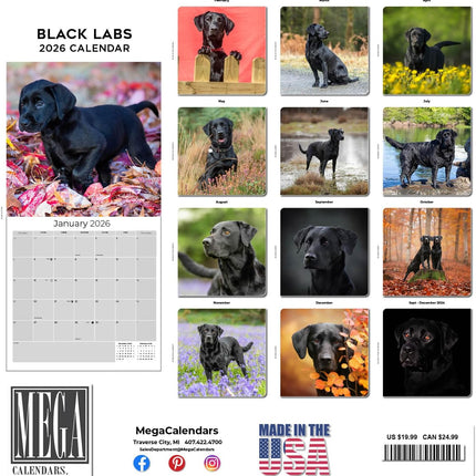 Black Labs Calendar 2026 – 16-Month Dog Breed Wall Calendar by MegaCalendars – Large Daily Blocks, Thick No-Bleed Paper, Made in USA