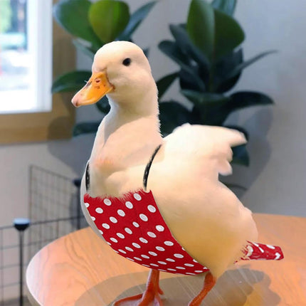 QBLEEV Pet Cole Duck Diapers for Baby Ducks, Chicken Diapers for Real Hens, Fashionable Duckling Nappy Poultry Cloth for Indoor Chick Goose Hen