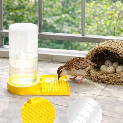 Ultra Leak-Proof Quail Chick Water Feeder – Premium Large Capacity, Non-Toxic & Durable, Ideal Button Quails Waterer, No-Spill Quail Coop & Poultry Supplies for Easy Hydration