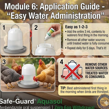Aquasol Dewormer for Chickens, 3 mL Simple 5-Day Treatment Schedule Protection for Your Entire Flock